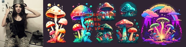 ПСИЛОЦИБИНОВЫЕ ГРИБЫ Армянск