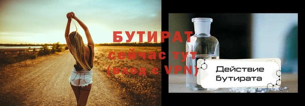 сатива Ельня