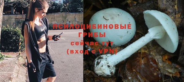 ПСИЛОЦИБИНОВЫЕ ГРИБЫ Армянск