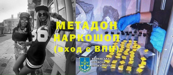 индика Инта
