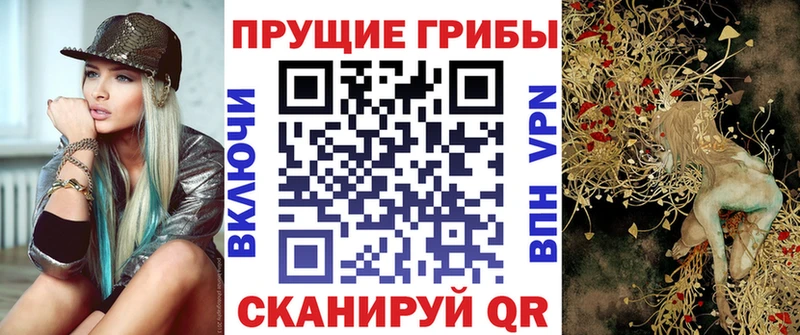 закладка  Кореновск  Галлюциногенные грибы Cubensis 